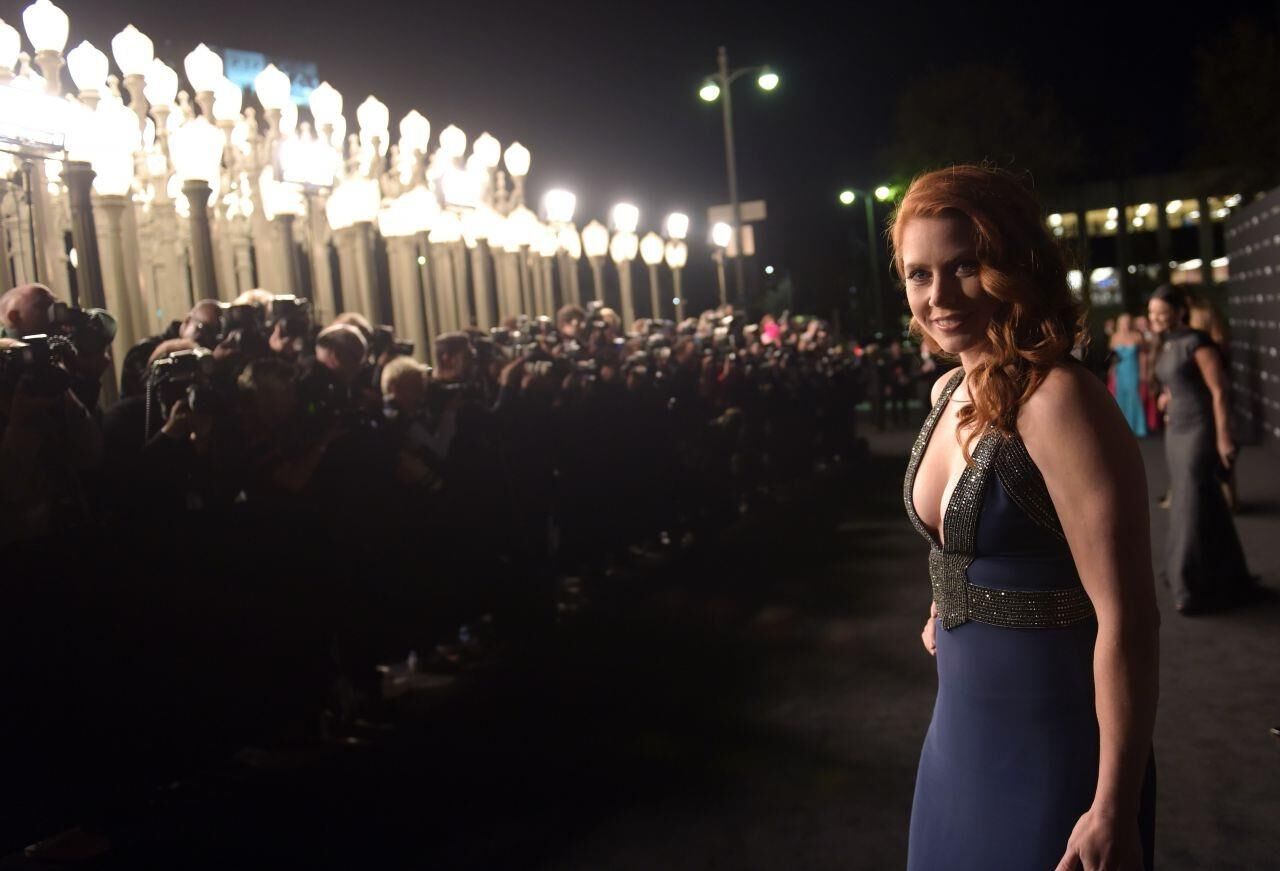 Amy Adams - Lacma -Kunst