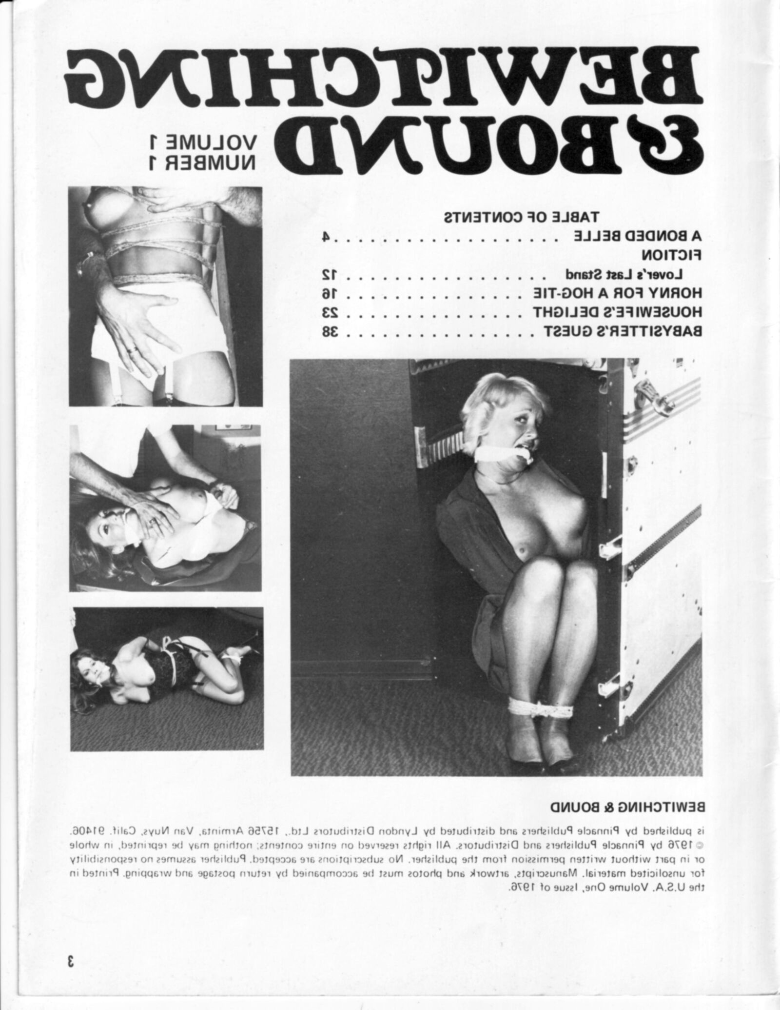 Magazine de bondage vintage envoûtant