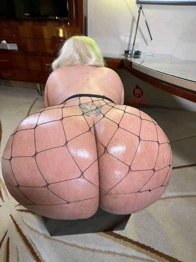 Пушистый сертифицированный Pt.