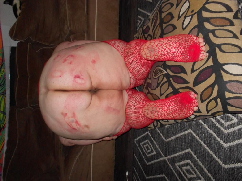 Estúpido cerdito