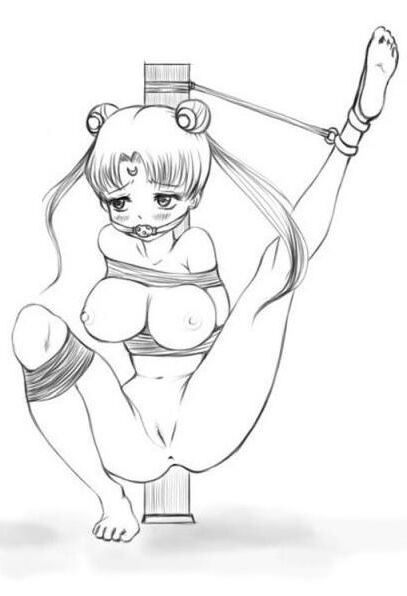 Sailor Moon Hentai Remaster ediciones