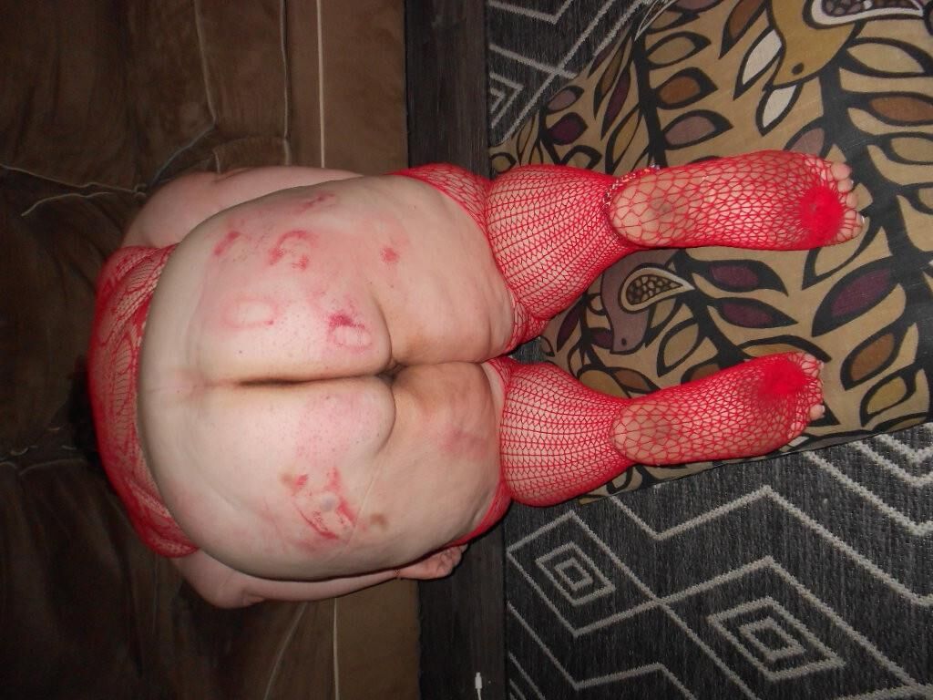 Estúpido cerdito
