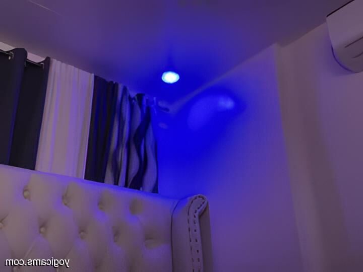 Lo mejor de Amateur Trans