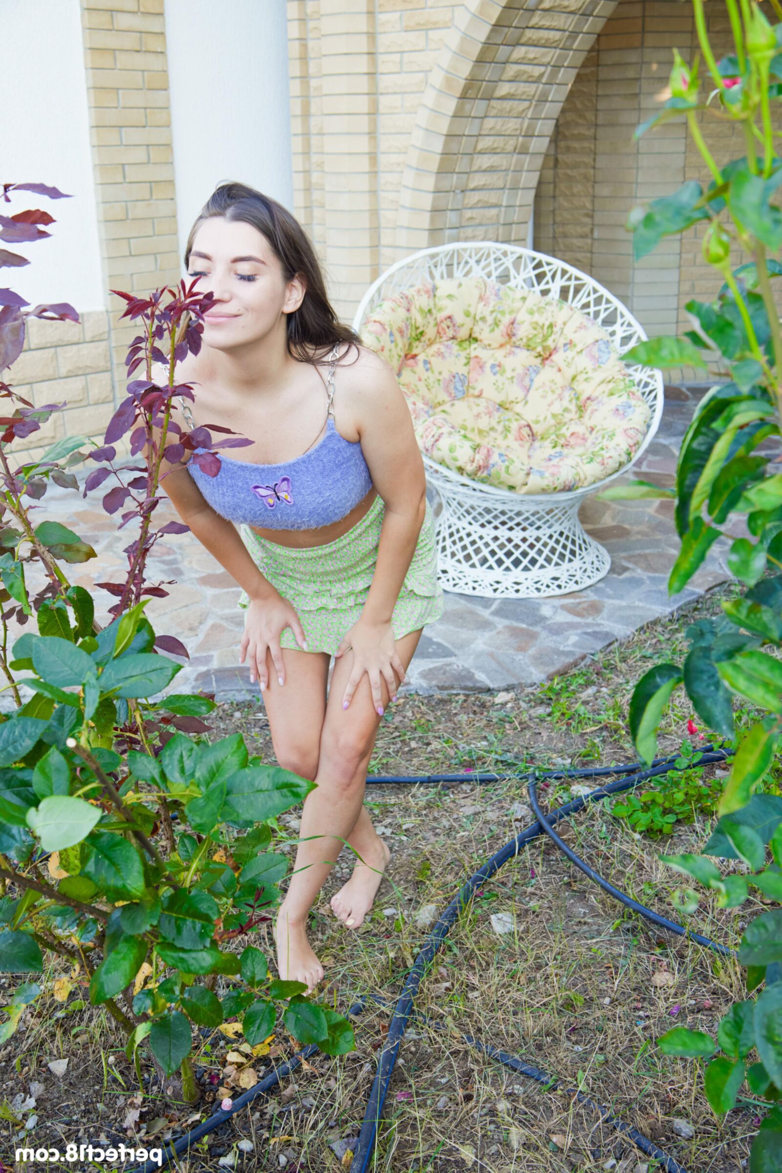 Perfect Elise Moon Perfect Elise Moon X X