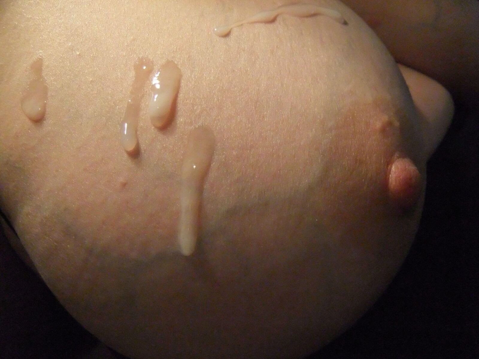 エロティカの自家製