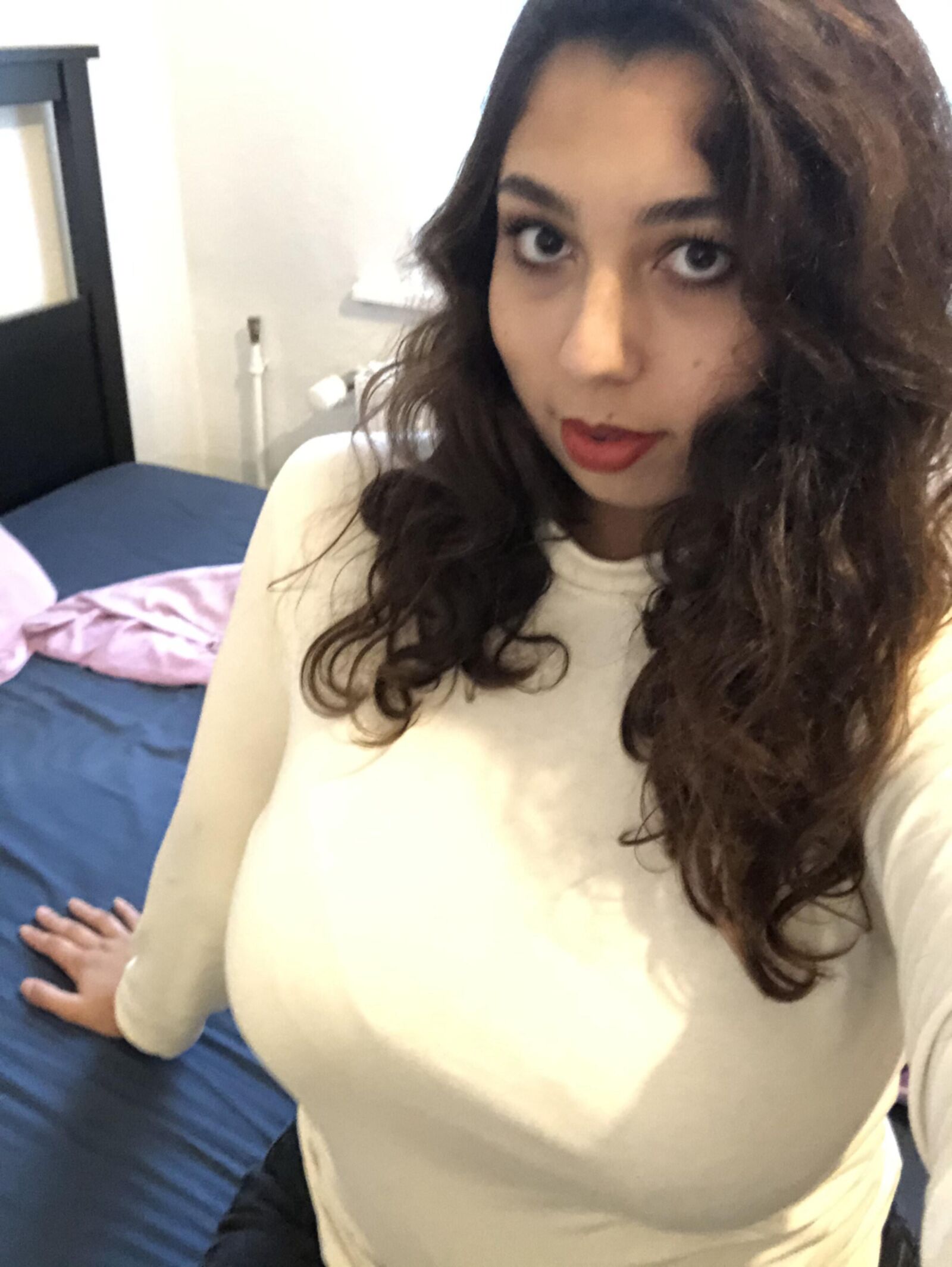 Charlotte curvilínea