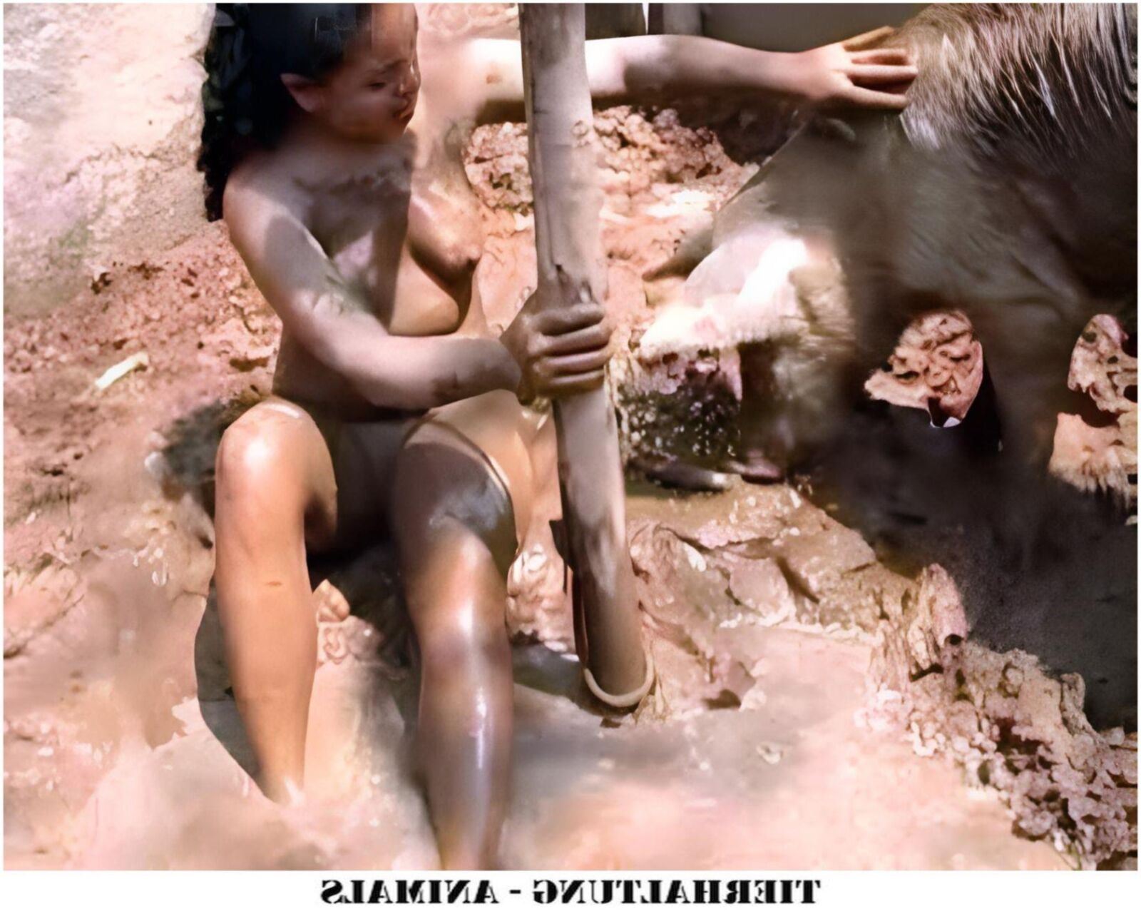 Tierhaltung Animals IV
