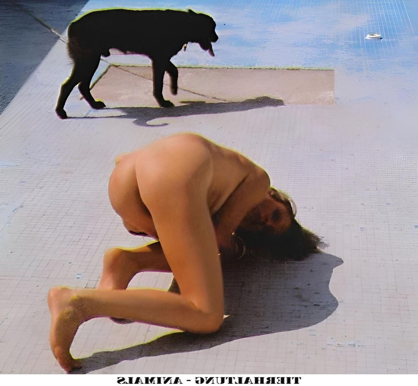 Tierhaltung Animals iii