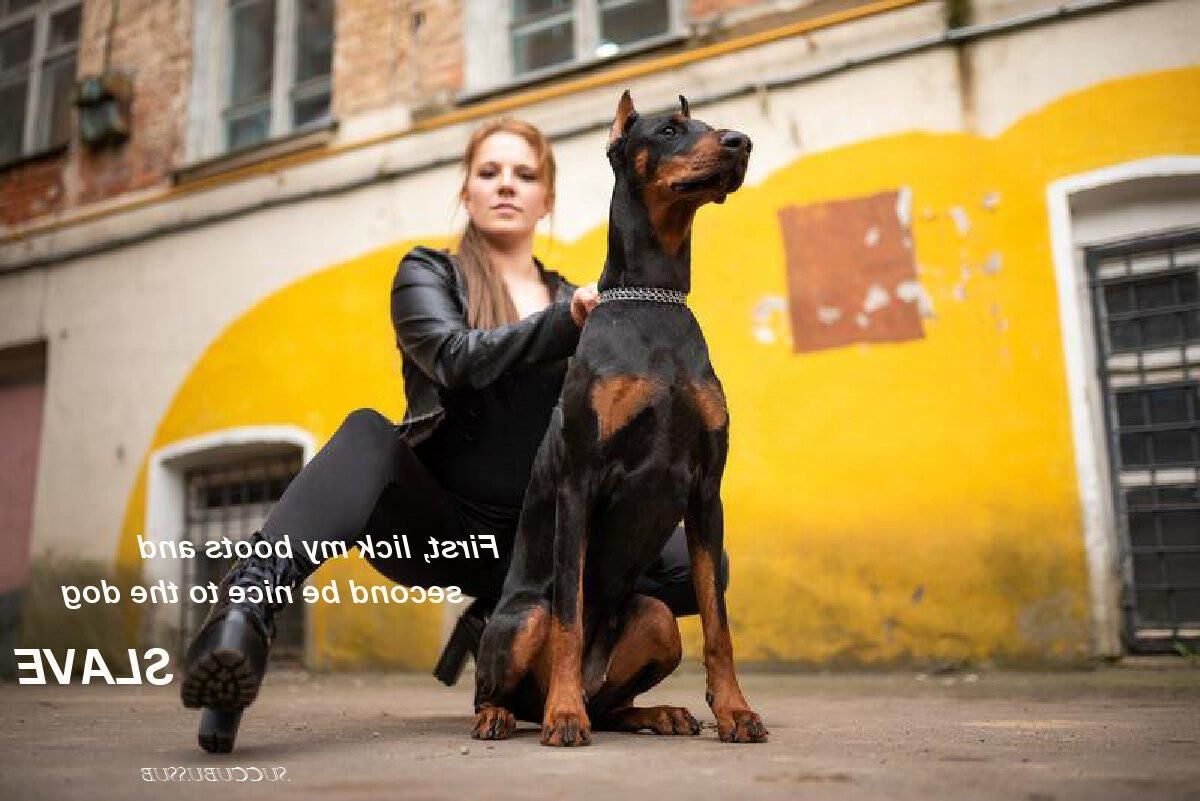 Beast Dog Haustier Dobermann
