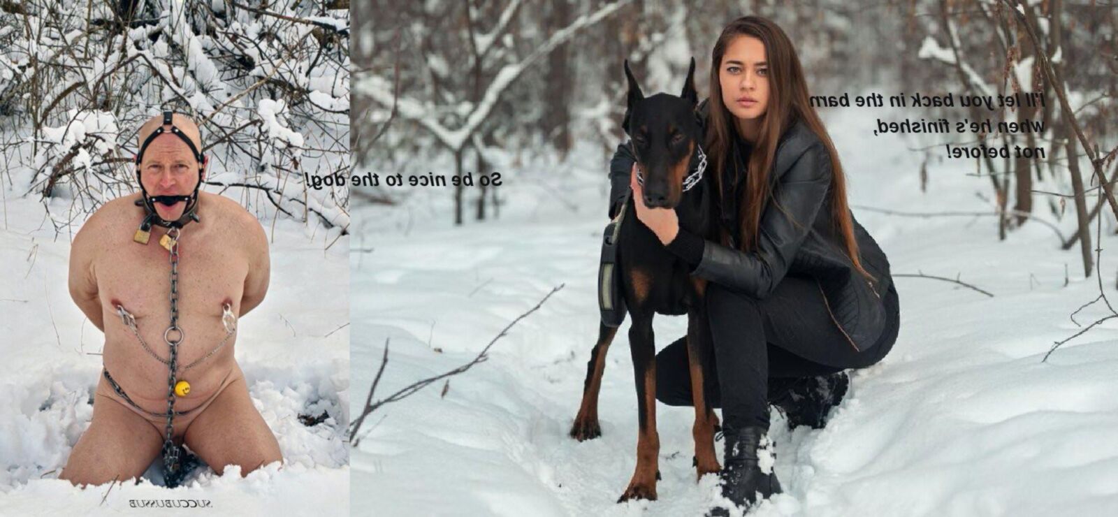 Beast Dog Haustier Dobermann