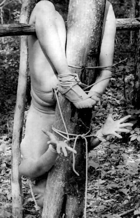 Bondage Positionen Neuzugänge Vol. 