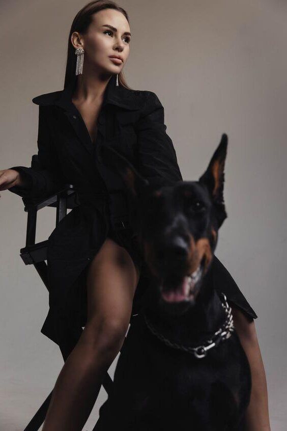 Beast Dog Haustier Dobermann