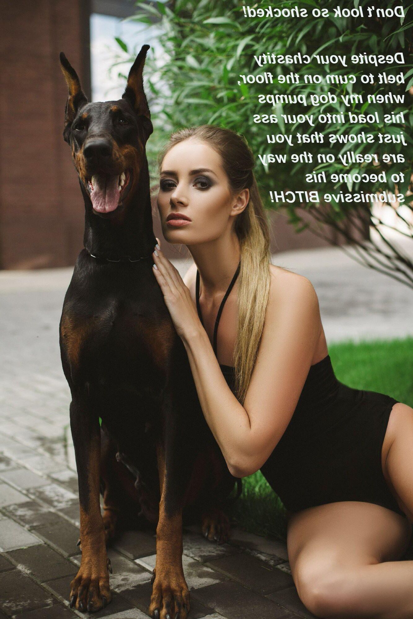 Beast Dog Haustier Dobermann