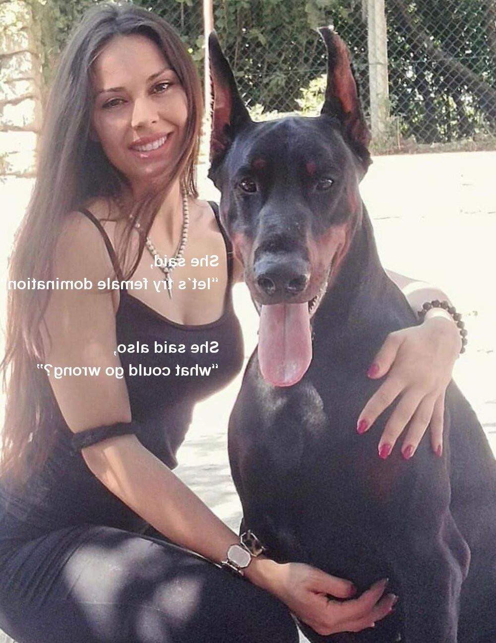 Beast Dog Haustier Dobermann