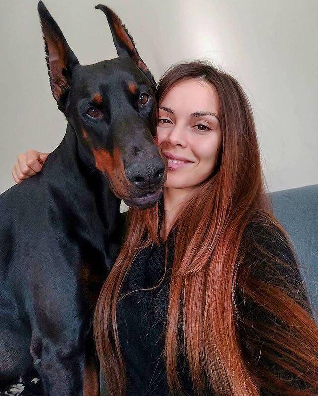 Beast Dog Haustier Dobermann