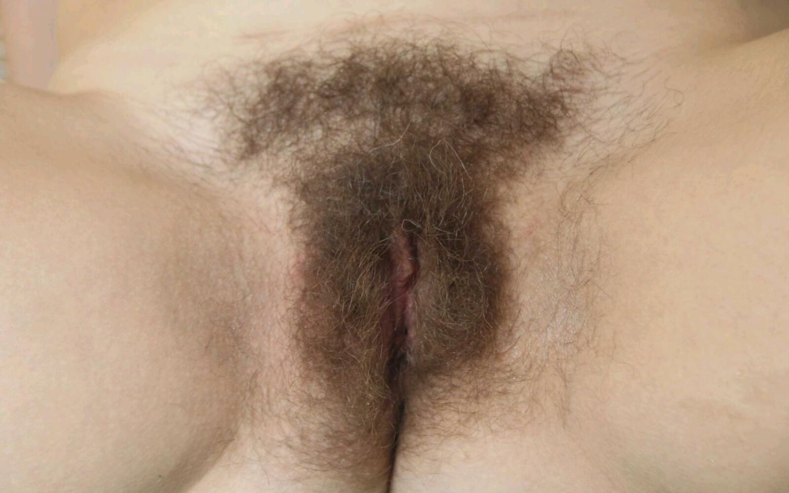 PUSSY (HAIRY)_