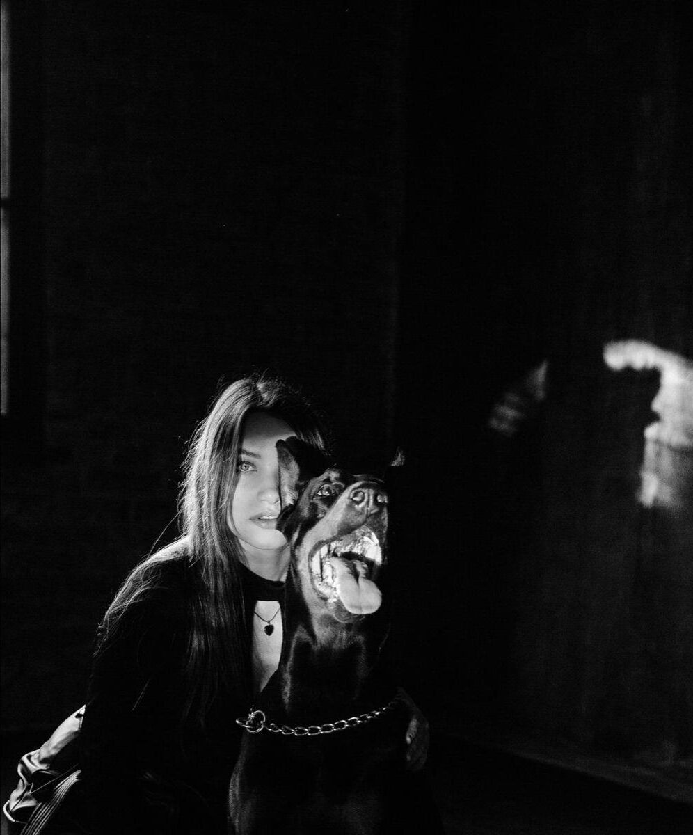 Beast Dog Haustier Dobermann