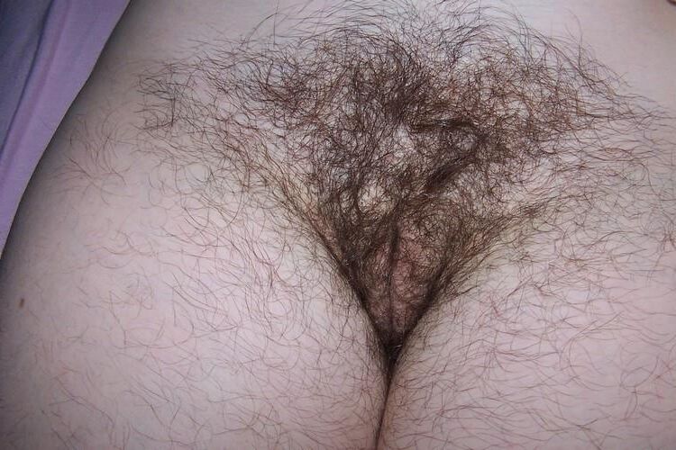 Hairy Ladies
