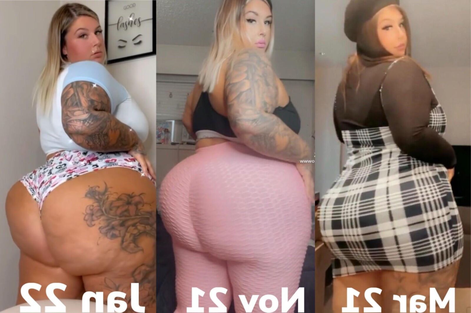 プレミアムBBWコレクション