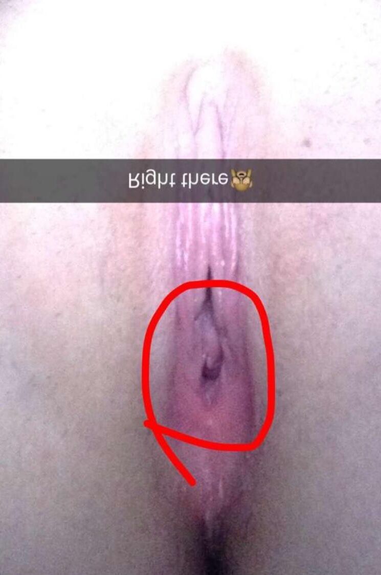 Amateur -Prinzessinsammlungen Hailey