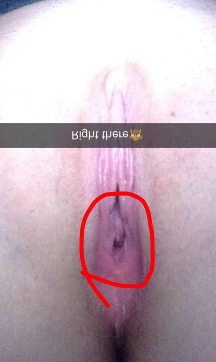 Amateur -Prinzessinsammlungen Hailey