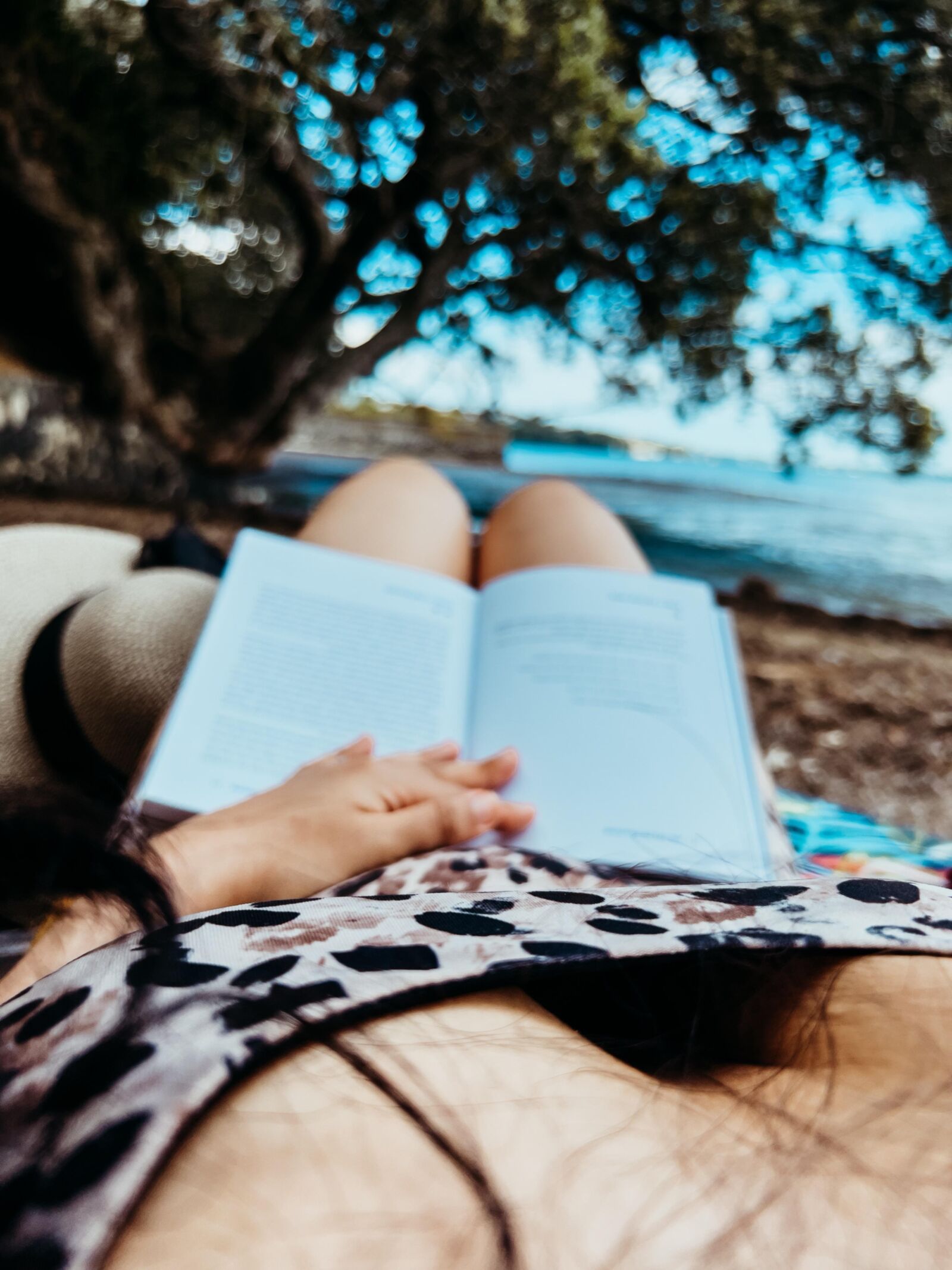 Lesen macht Spaß Damental, Vol.