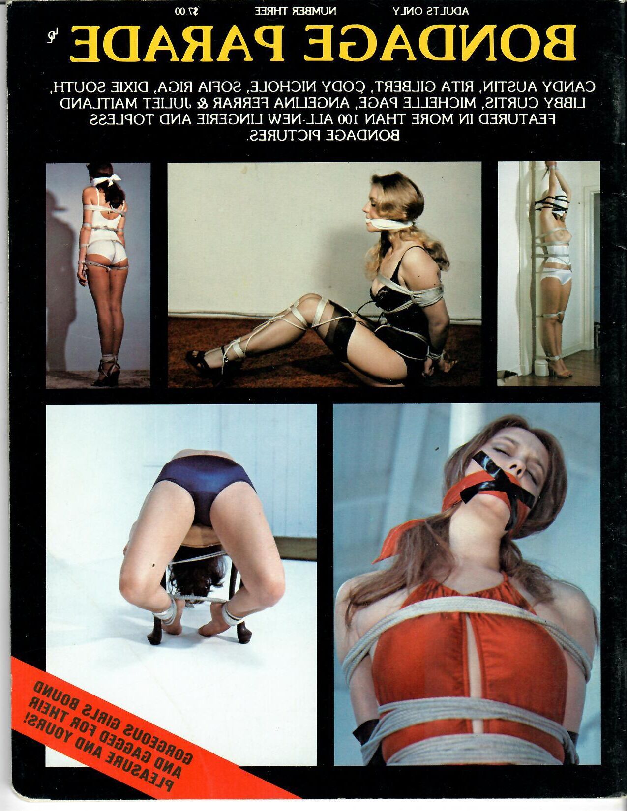 Michelle Page Bondage Model Vintage