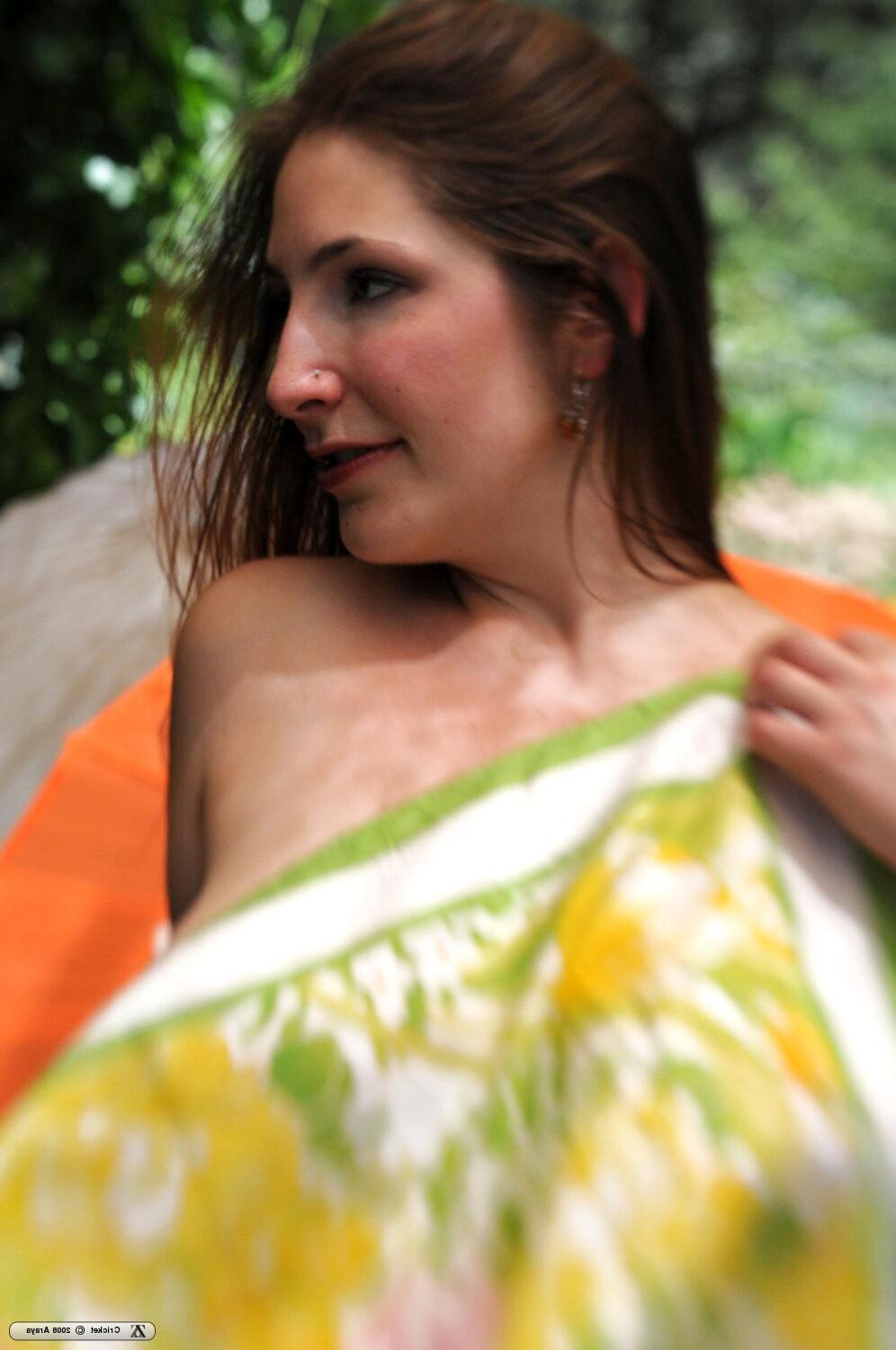 Zivity Cricket Cricket and The Dragon (x)