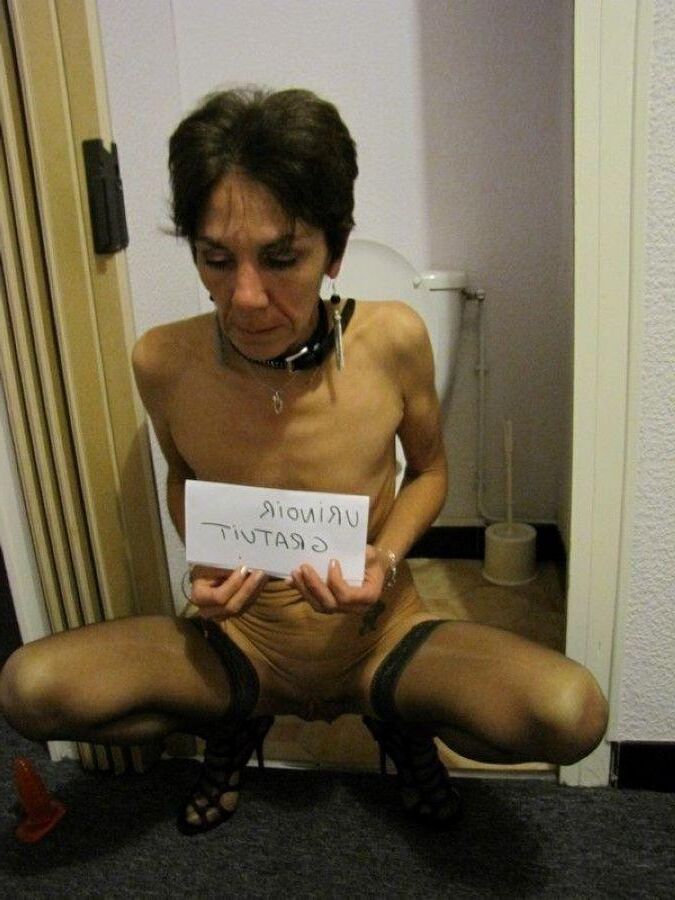 訓練されたペット