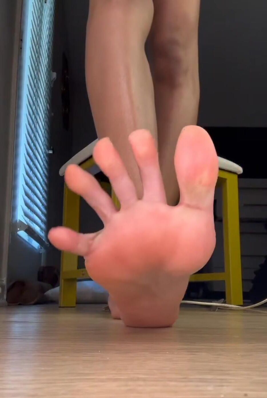 Tospread Neferfeeti女王
