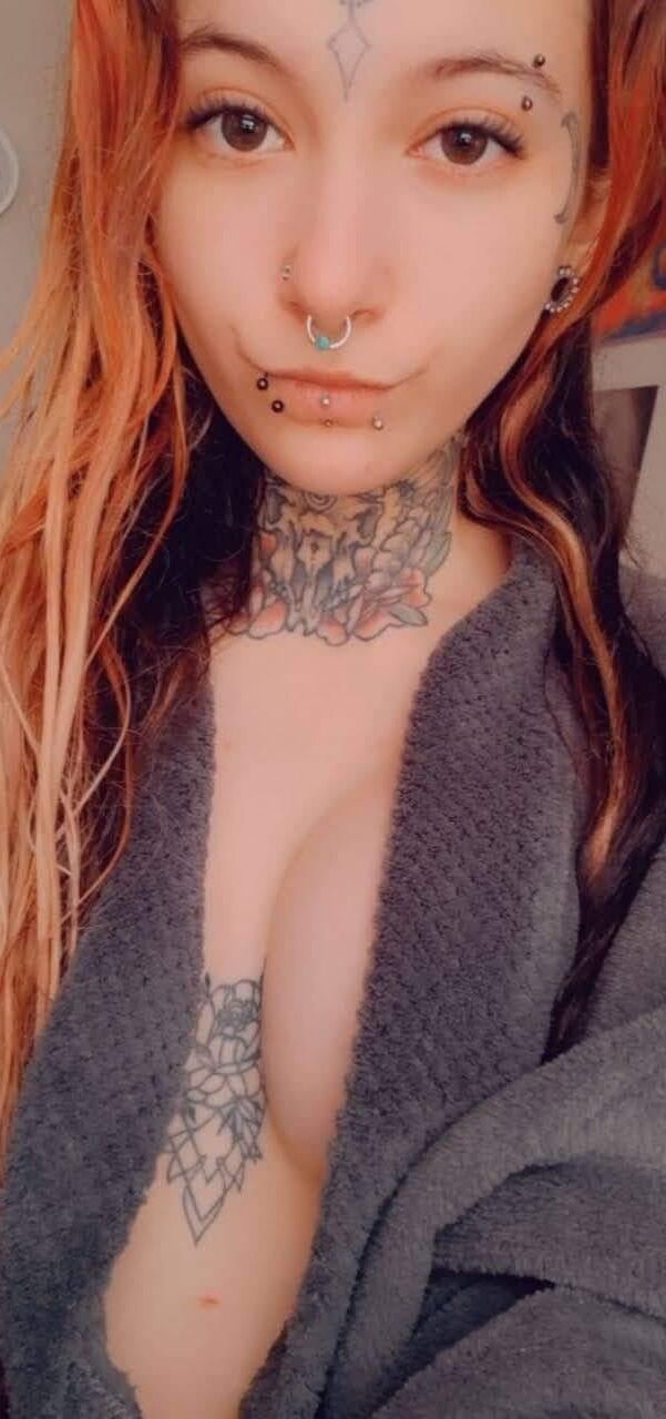 Illinois Redheads