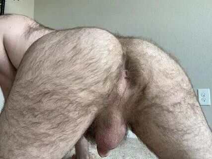Time to Worship Hairy Asses