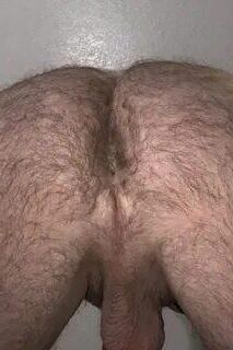 Time to Worship Hairy Asses