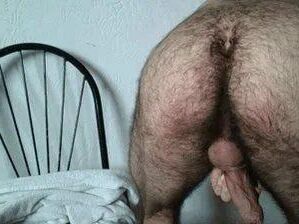 Time to Worship Hairy Asses