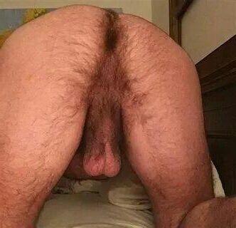 Time to Worship Hairy Asses
