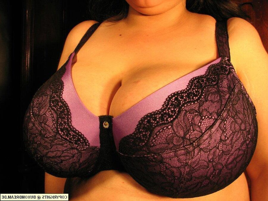 Big Tits in Bras