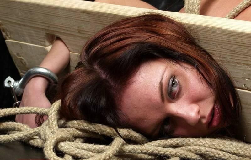 In the stocks