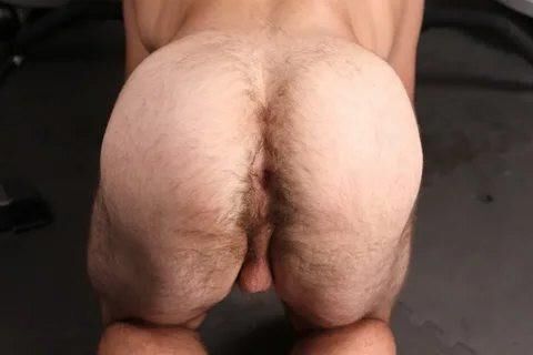 Time to Worship Hairy Asses