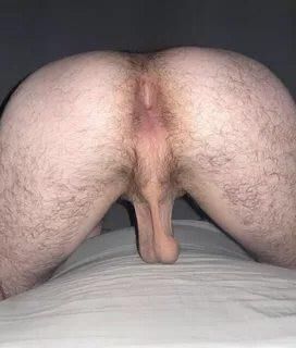 Time to Worship Hairy Asses