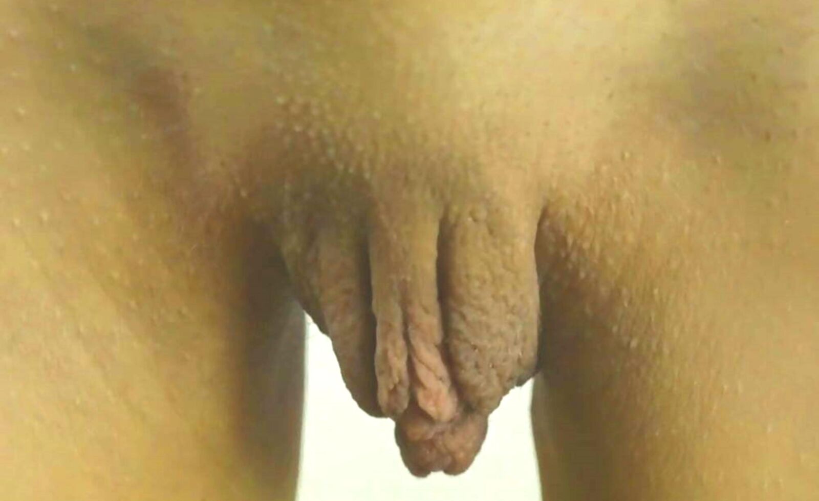 Carne de coño para pervertir parte de placer