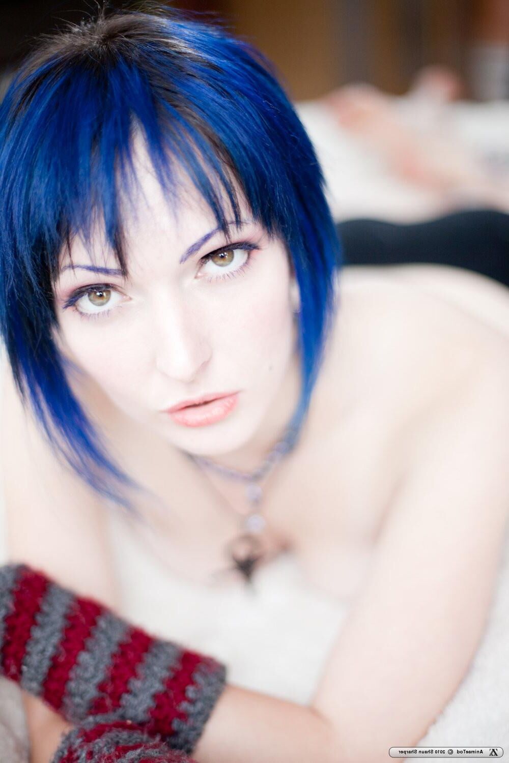 Zivity Animae Todd Anime (x)