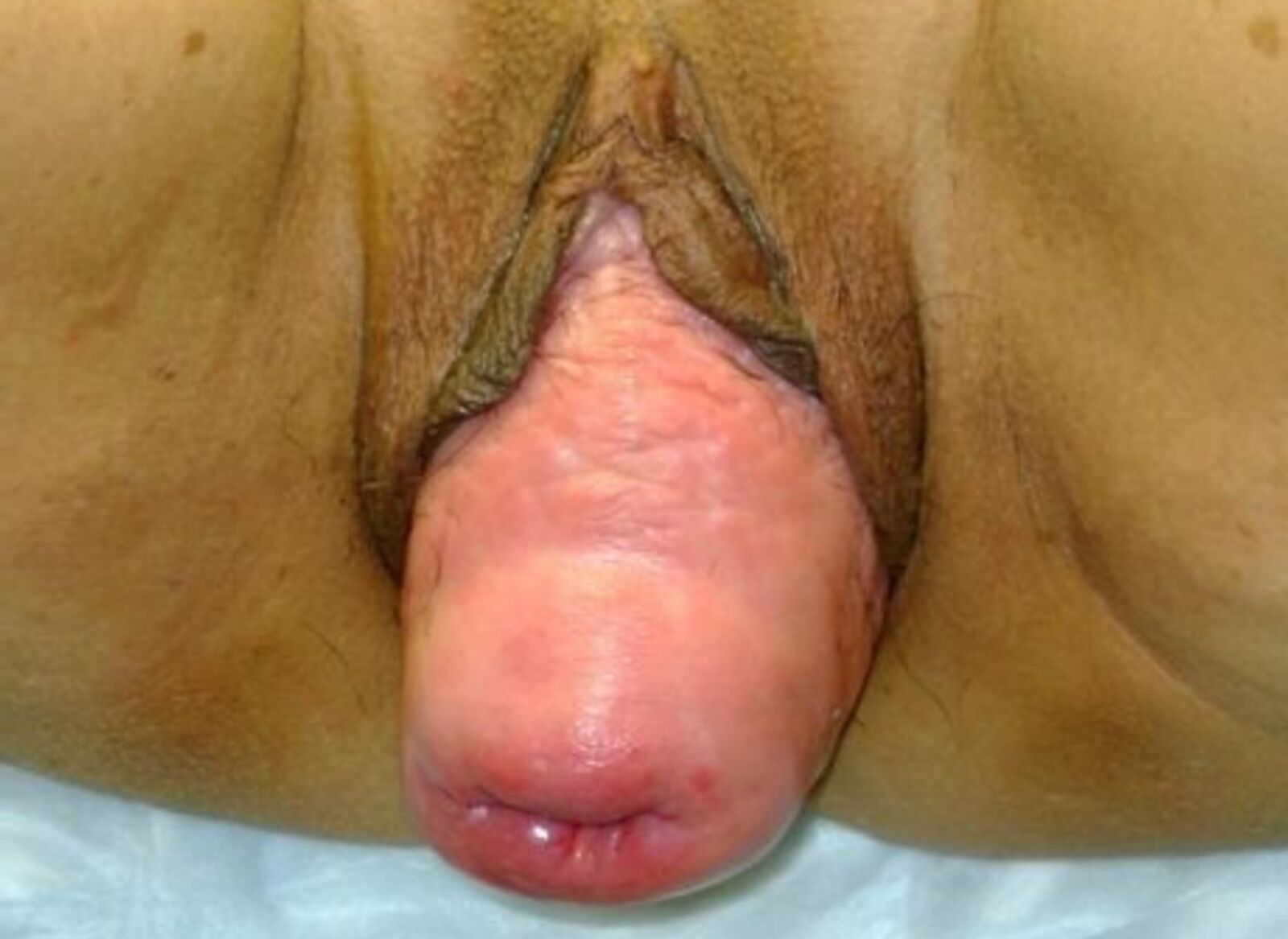 Carne de coño para pervertir parte de placer