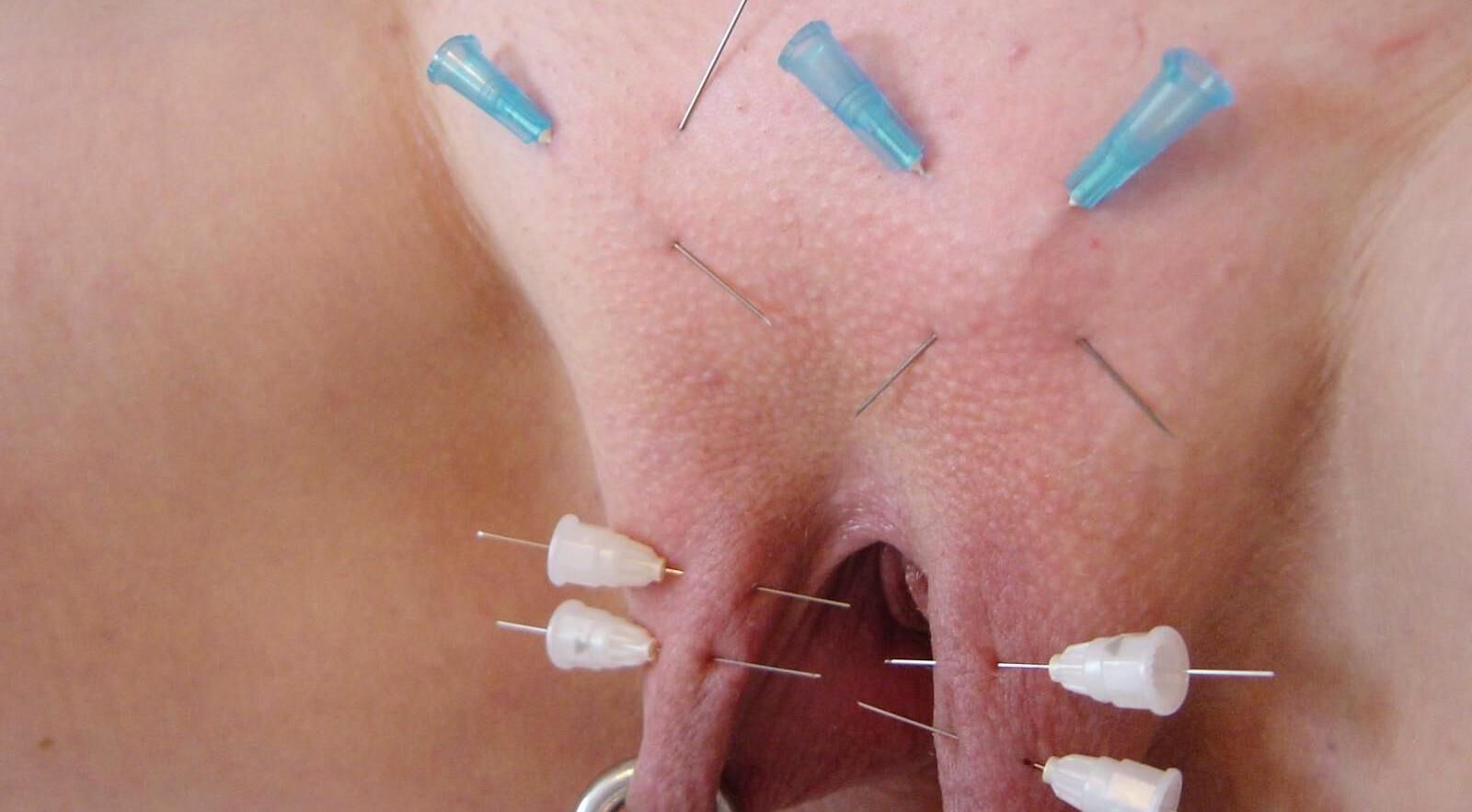 Carne de coño para pervertir parte de placer
