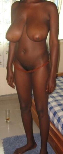 Ebonies with pale areolas
