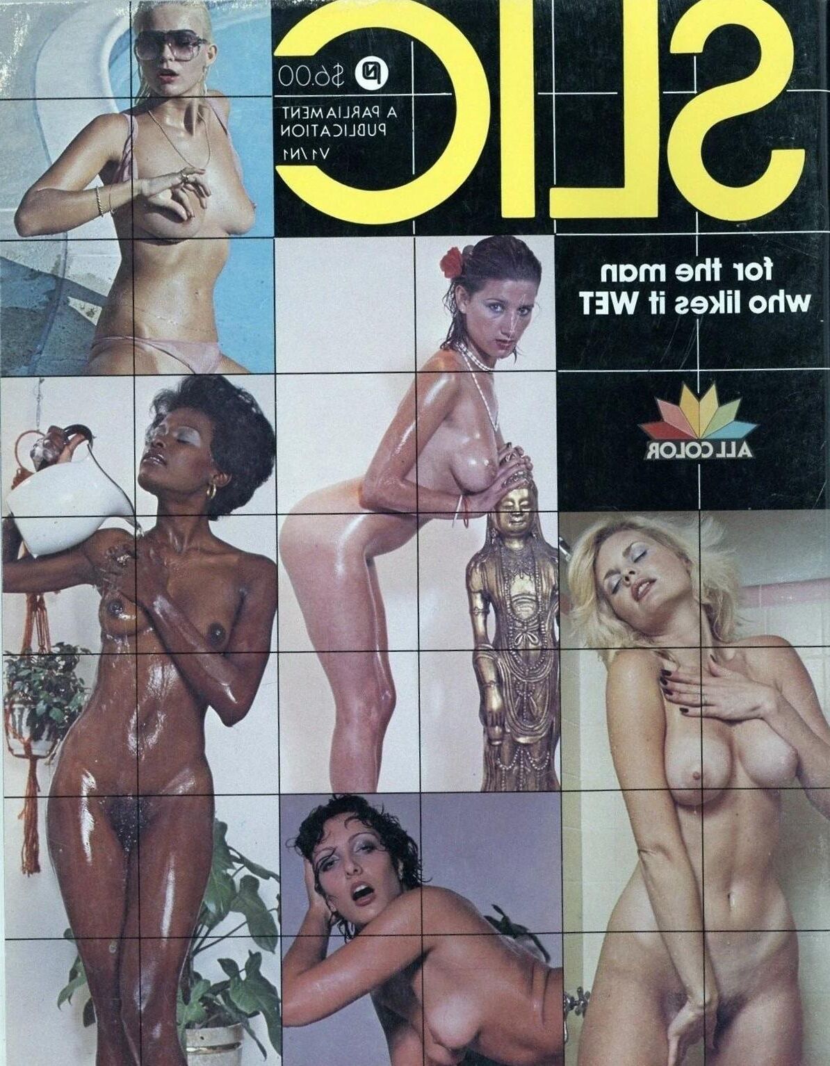 Seka na revista SLIC aprimorada