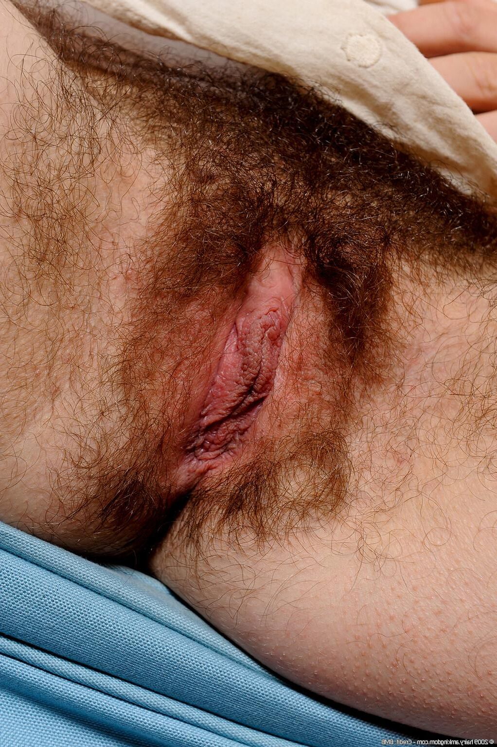 Joe peludo (Joebmb_xxx)