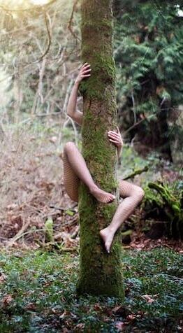 "TAKE HER TO THE TREE" 