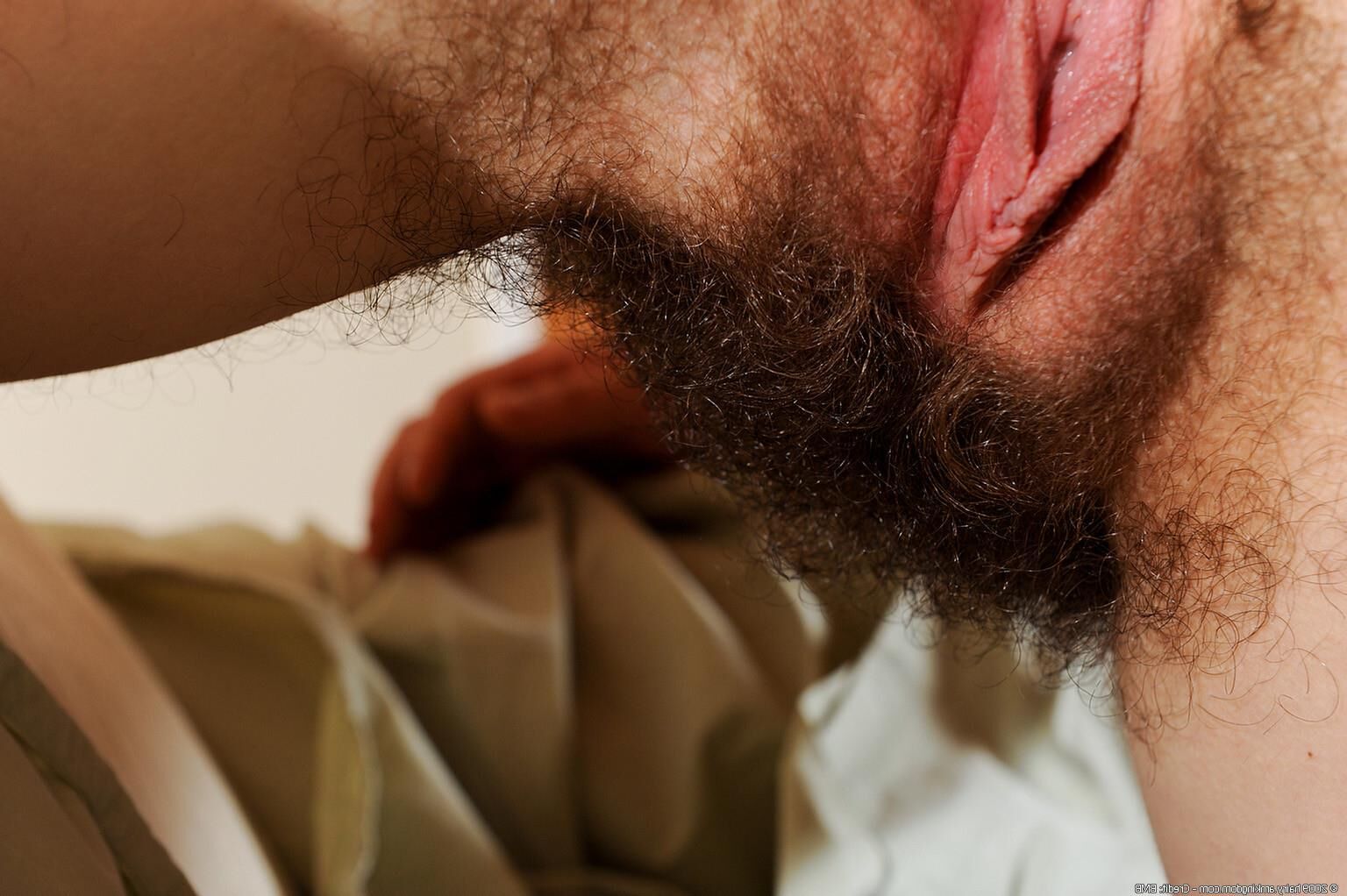 Hairy Joe (joeBMB_xxx)