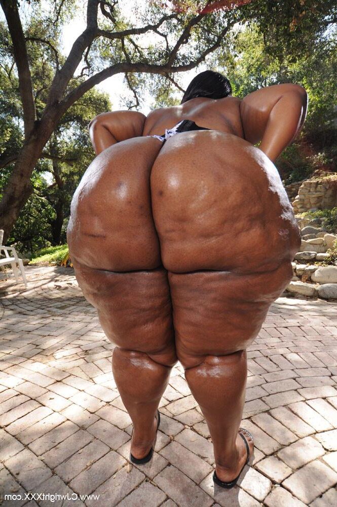 Collection BBW premium