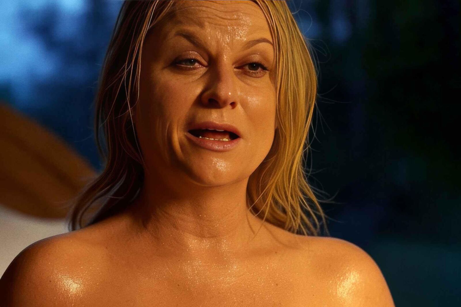 Amy Poehler Beautiful Agony